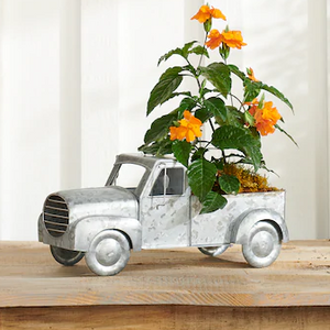 metal truck with flowers planted in bed